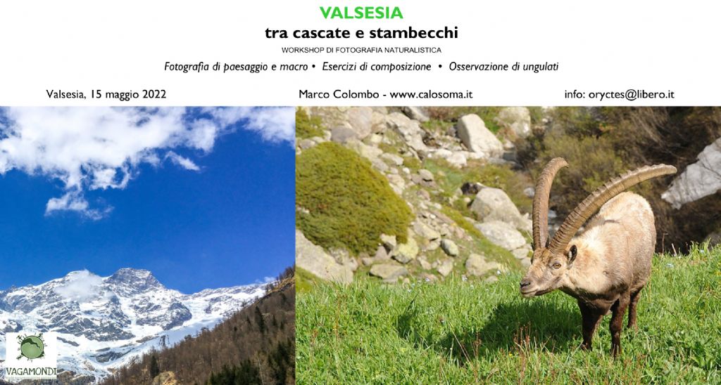 workshop di fotografia naturalistica in Alta Valsesia